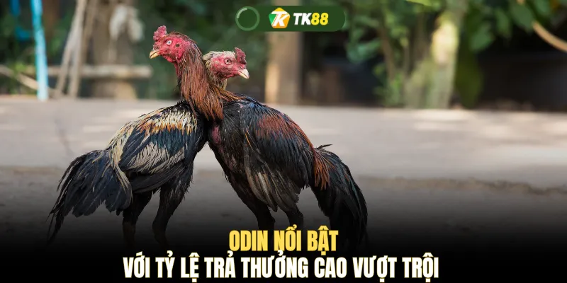 ODIN nổi bật với tỷ lệ trả thưởng cao vượt trội