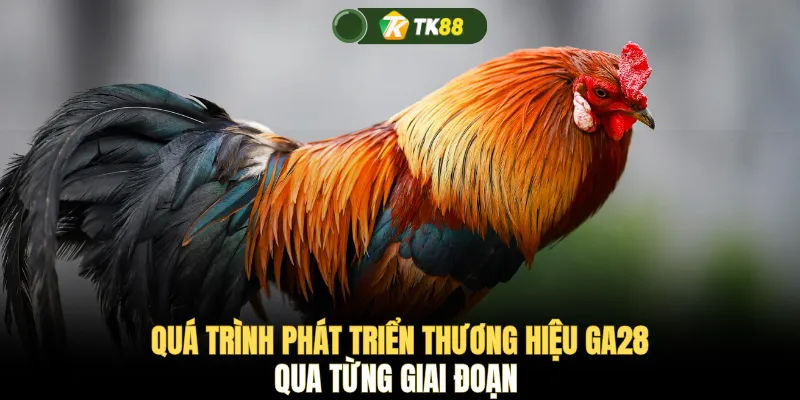 Quá trình phát triển thương hiệu GA28 qua từng giai đoạn 